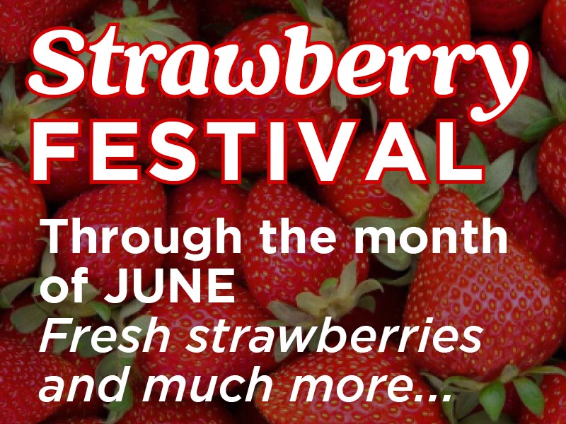 Strawberry Festival at The Shoppes East Wind Long Island