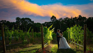 Couple in the vines
