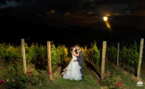 bride and groom kissing in vineyards sunset LR 2023-06-16 - HG - M - Rachel & Anthony-1821_2 LR