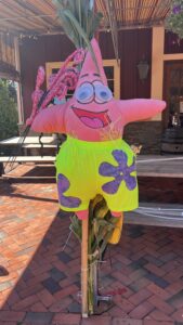 Pink starfish scarecrow in bright shorts.