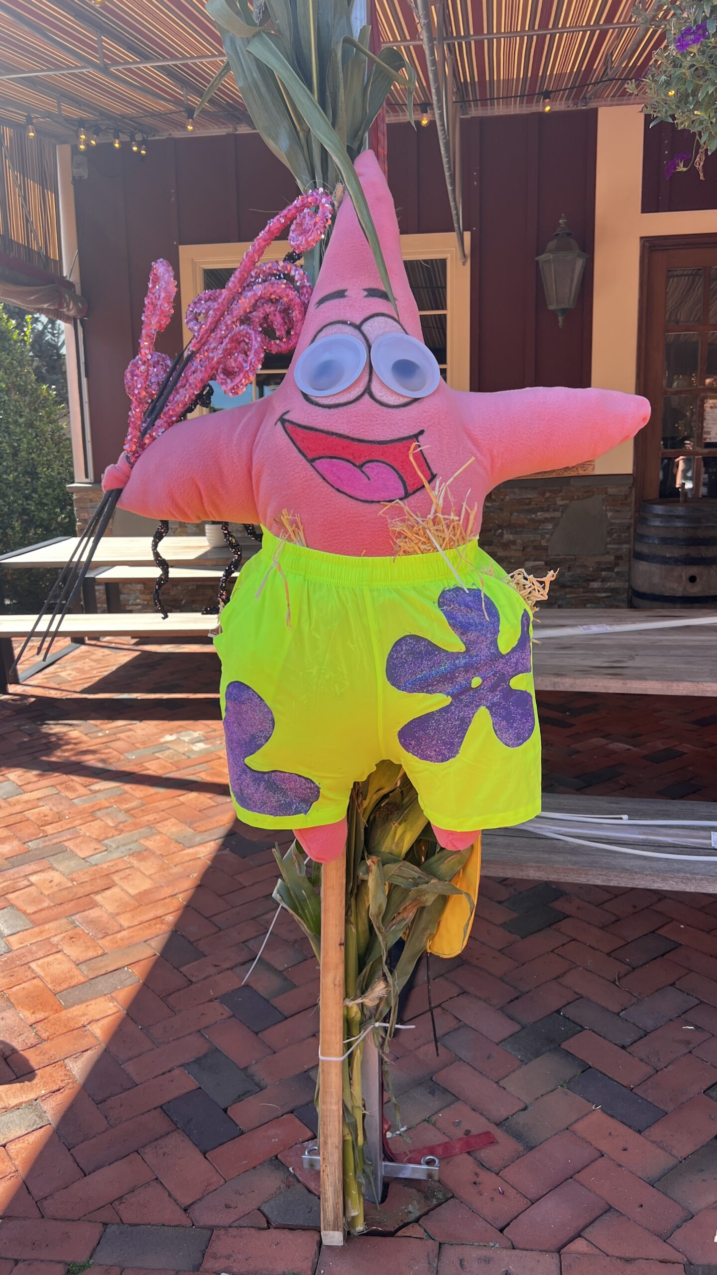 Pink starfish scarecrow in bright shorts.