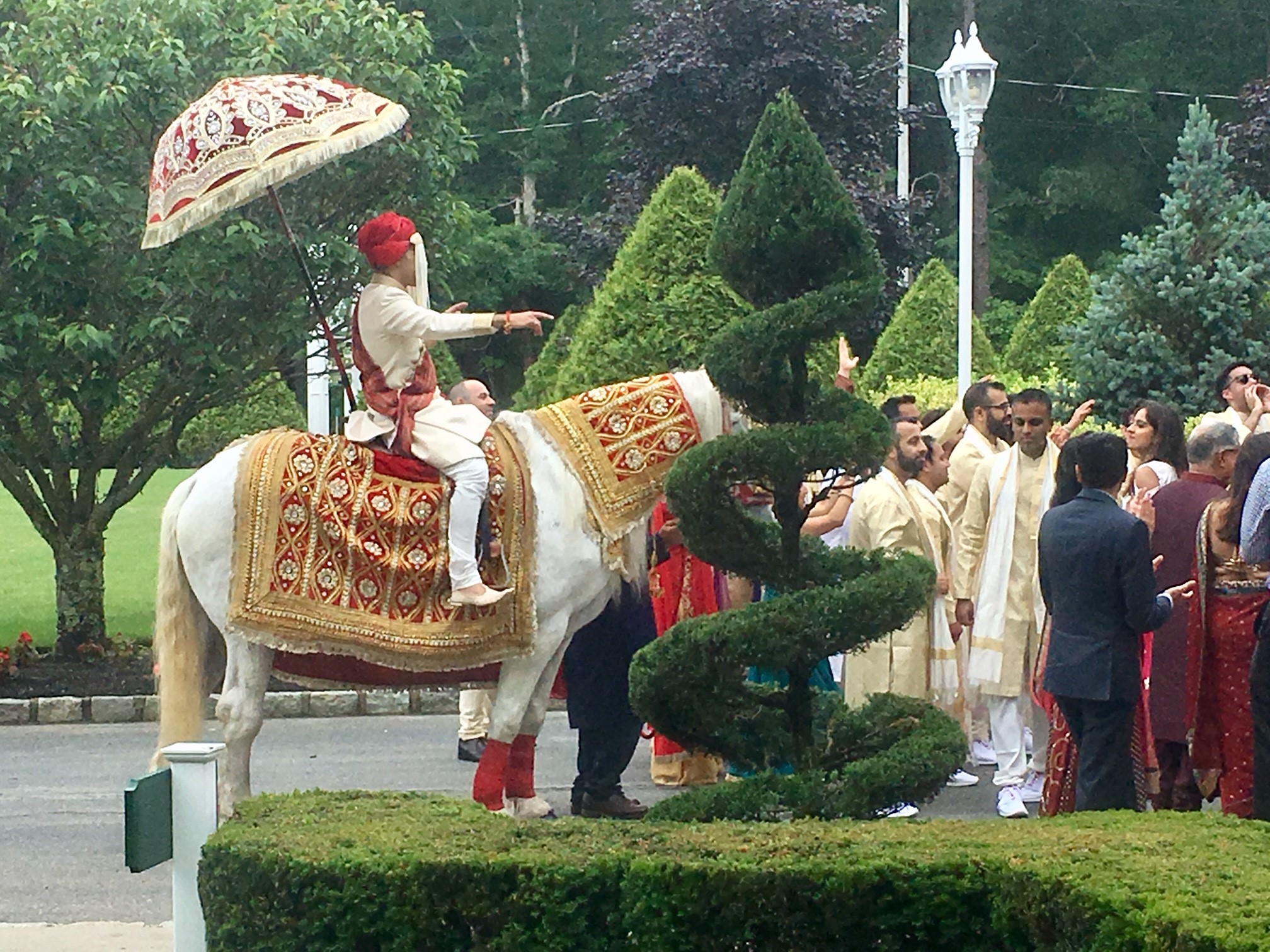 Wedding procession with decorated horse and guests.