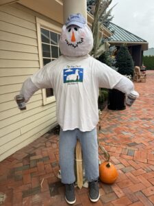 Scarecrow with pumpkin and white t-shirt.