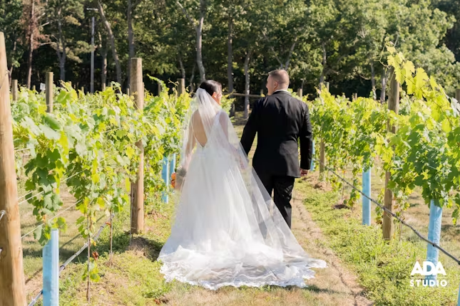 Couple walking through vineyard in wedding attire.