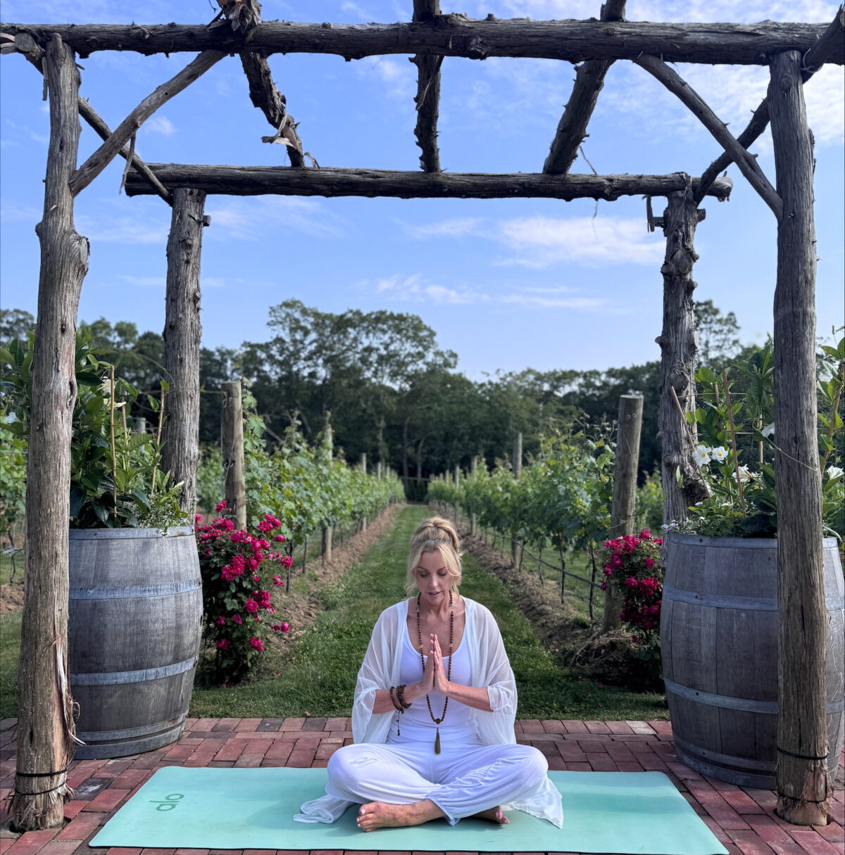 Women in lotus yoga positions in vineyard Yoga meditation in a vineyard setting.