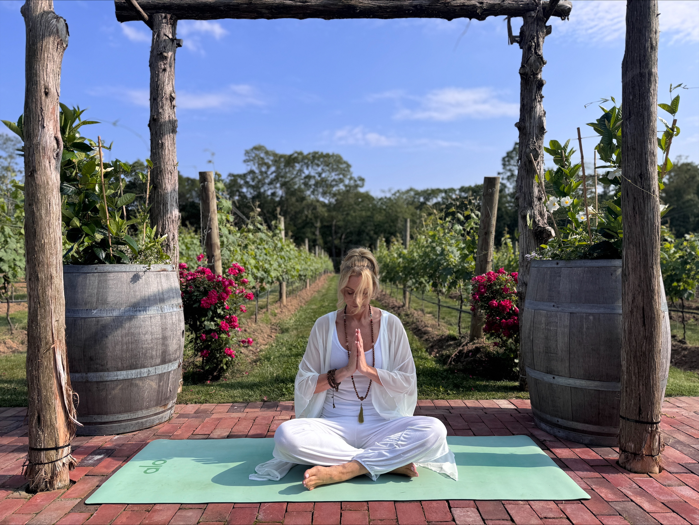 Yoga meditation in a vineyard setting.